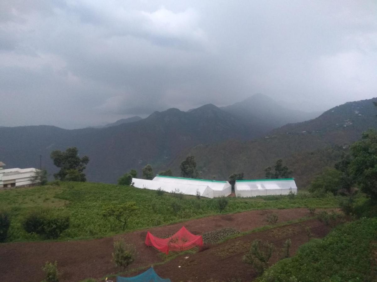 Green View Resort New Tehri Екстер'єр фото