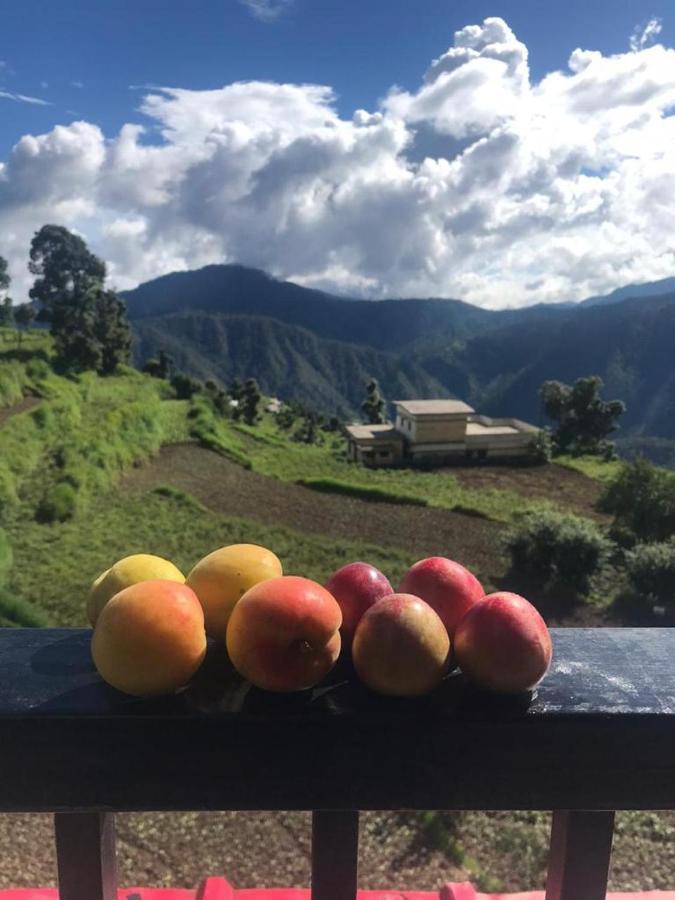 Green View Resort New Tehri Екстер'єр фото